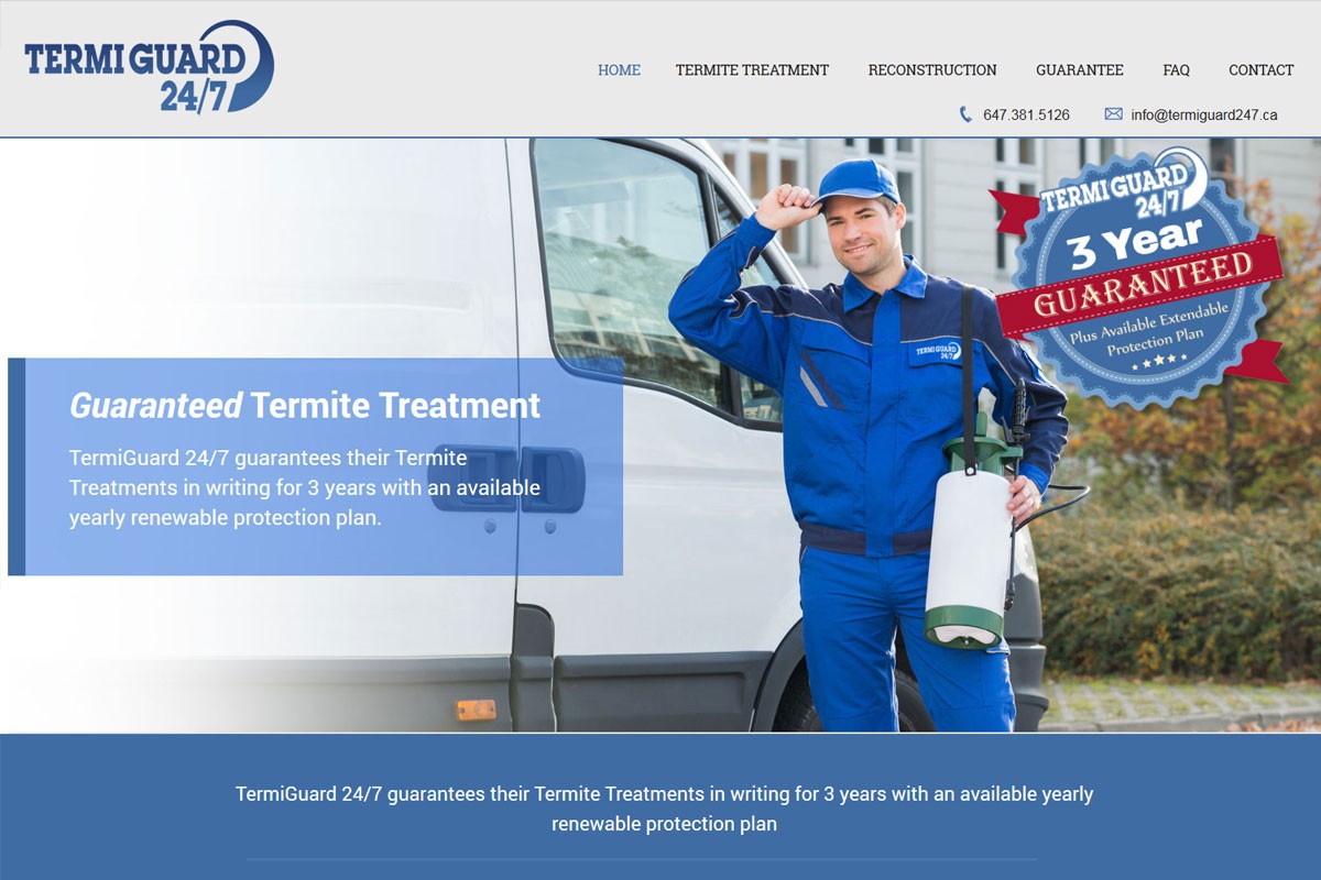 examples of good website design professional website examples